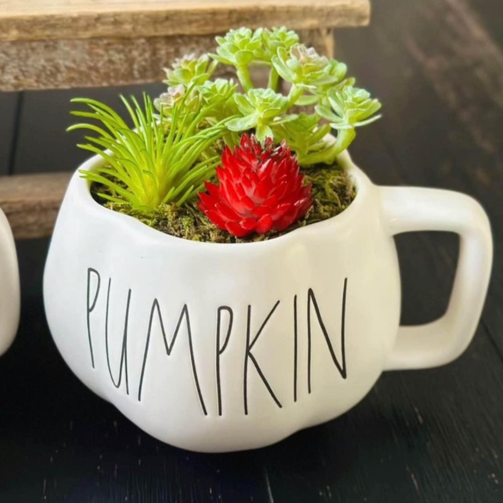 Rae Dunn Pumpkin Mug Succulent Garden